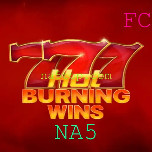 Desvendando o Mundo de HotBurningWins: Um Olhar Detalhado sobre o Jogo